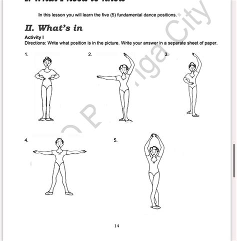 放置位置|position